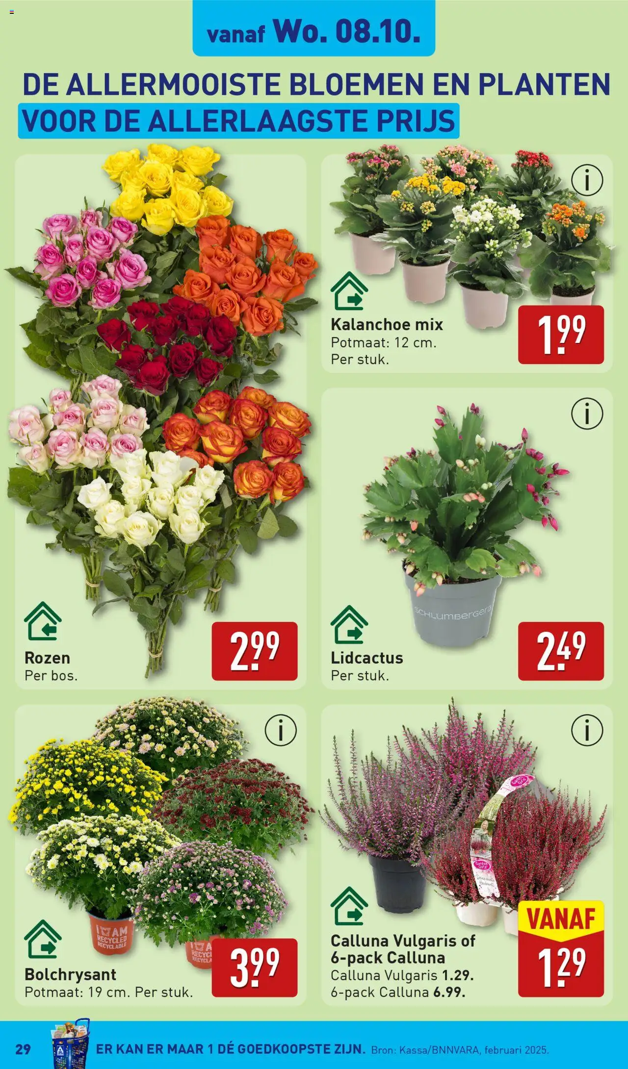 {H1} | Pagina: 29 | Producten: Kan, Bloemen