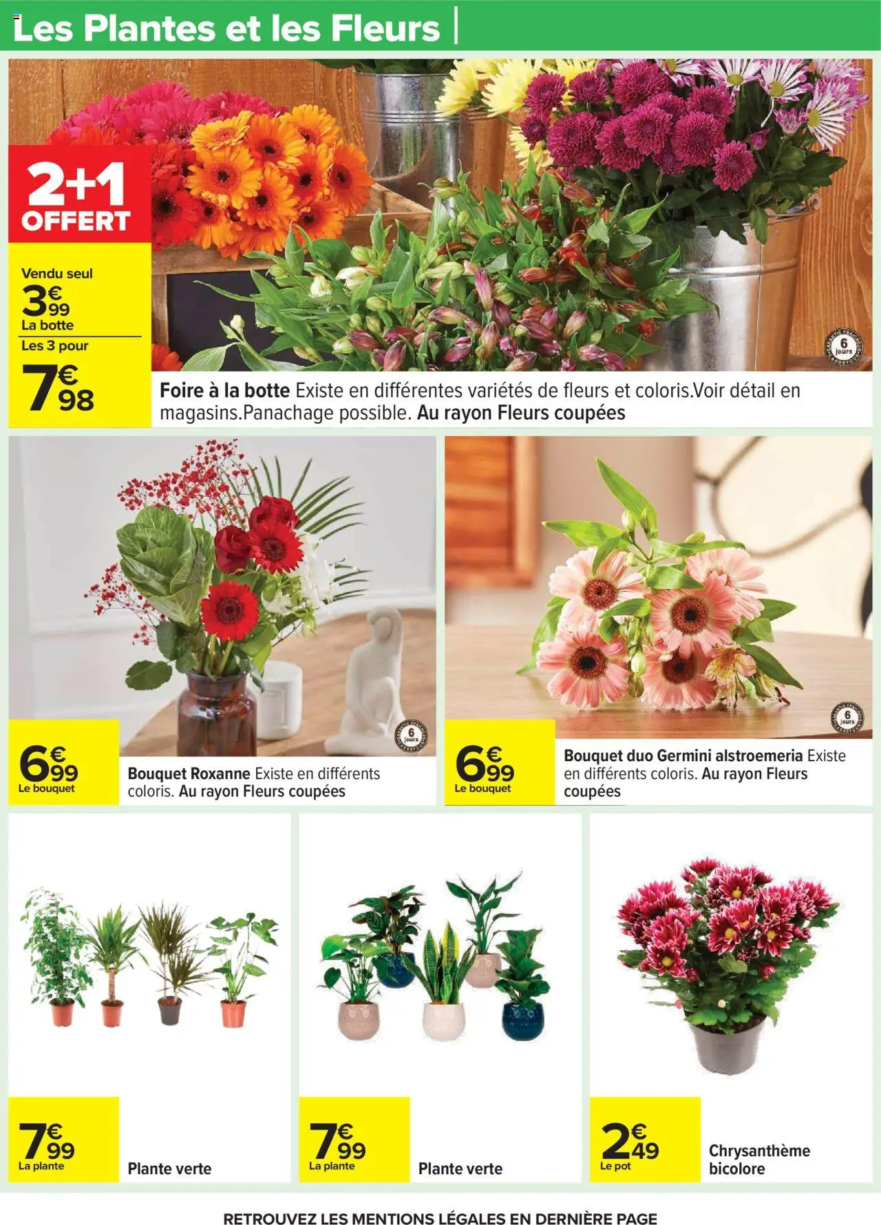 {H1} | Page: 26 | Produits: Plantes, Chrysanthème, Plante verte