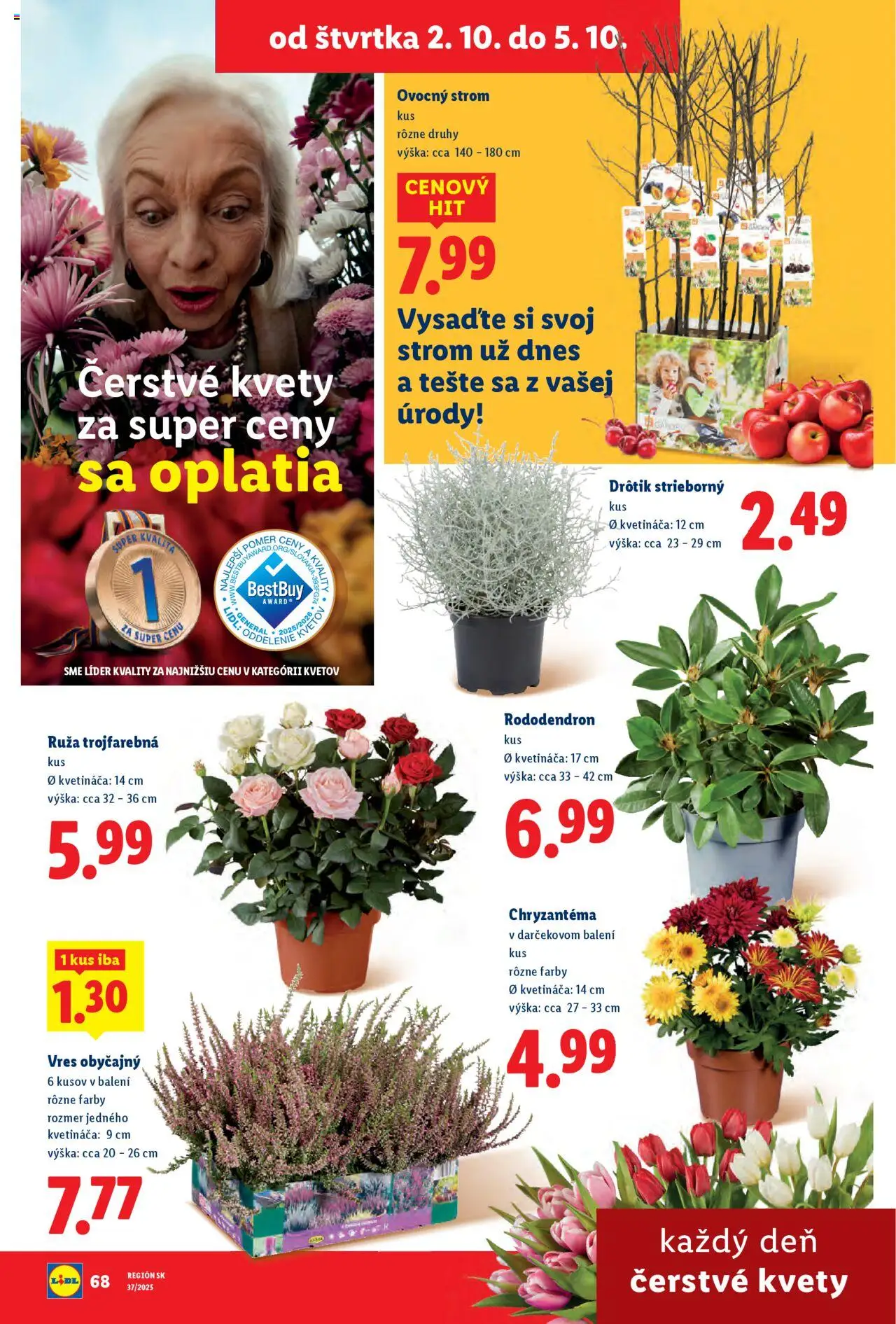 Nové Lidl akcie – leták je platný od 29.09.2025 | Strana: 76 | Produkty: Kvety