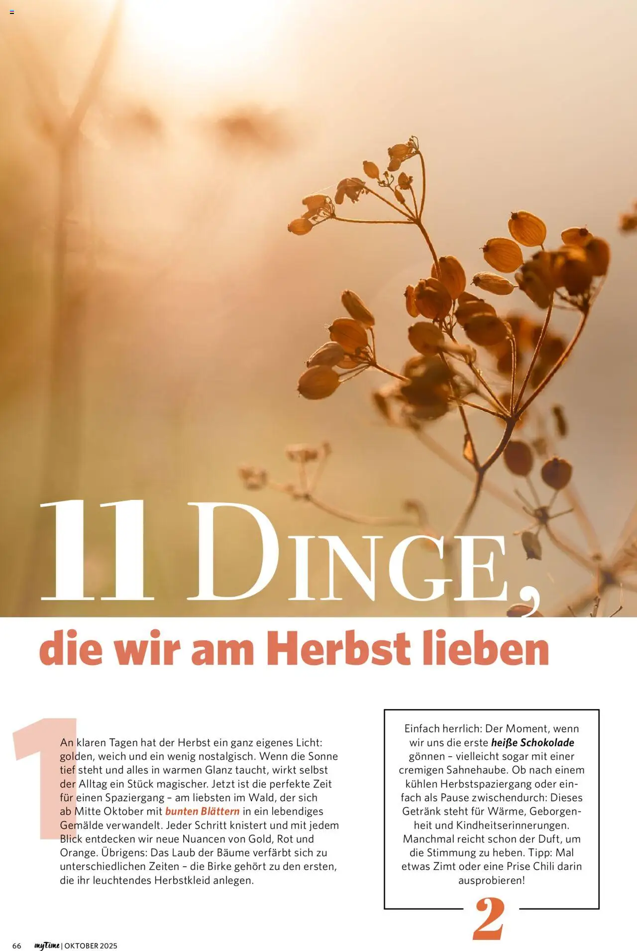 Combi myTime Oktober 2025 – gültig ab 01.10.2025 | Seite: 66 | Produkte: Schokolade, Chili