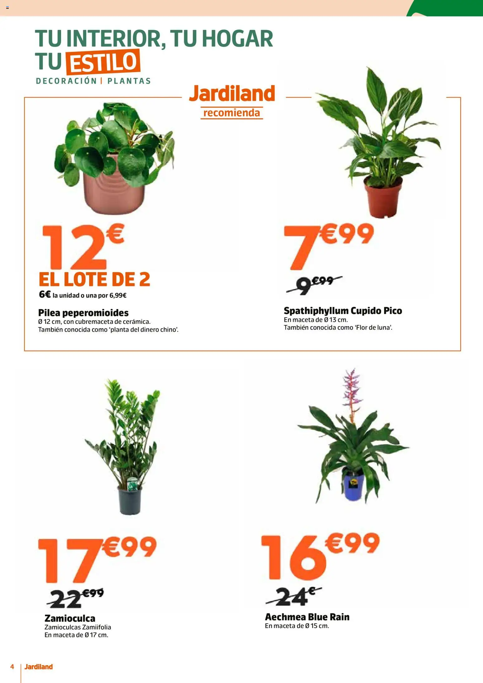 Jardiland folleto │ válido desde el 15.01.2026 | Página: 4 | Productos: Maceta
