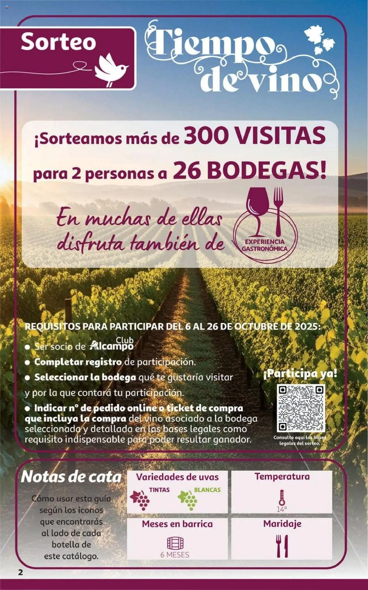 Alcampo - HG Andalucía │ válido desde el 06.10.2025 | Página: 2 | Productos: Τζίντζερ, Vino, Té