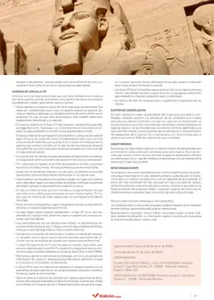Vista previa Halcón Viajes Egipto válido desde el 01.07.2025 | Página: 81