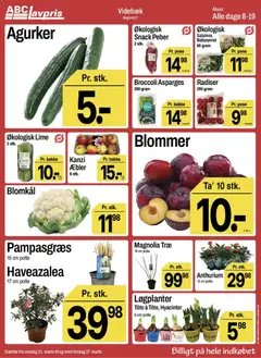 Abc Lavpris - Videbæk gyldig fra 11.03.2026 | Side: 2 | Produkter: Agurker, Broccoli, Blommer, Lime