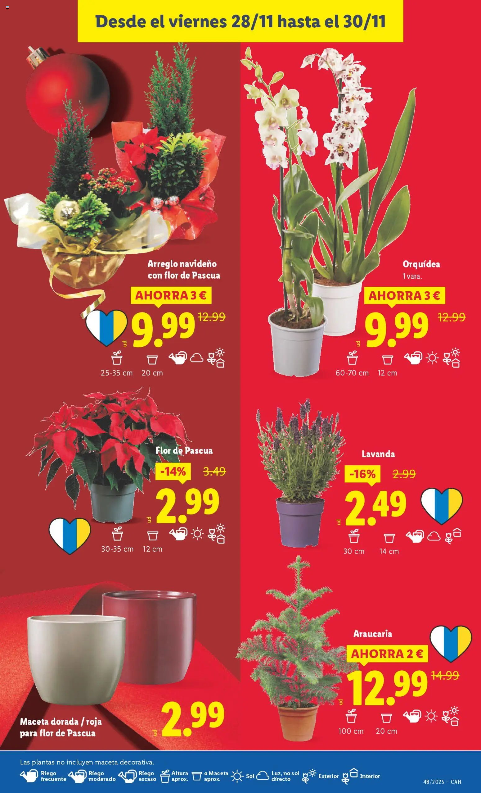 Lidl - Canarias  │ válido desde el 24.11.2025 | Página: 43 | Productos: Maceta