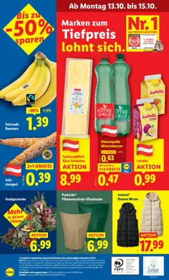 Lidl Flugblatt -  ab 09.10.2025 gültig | Seite: 46