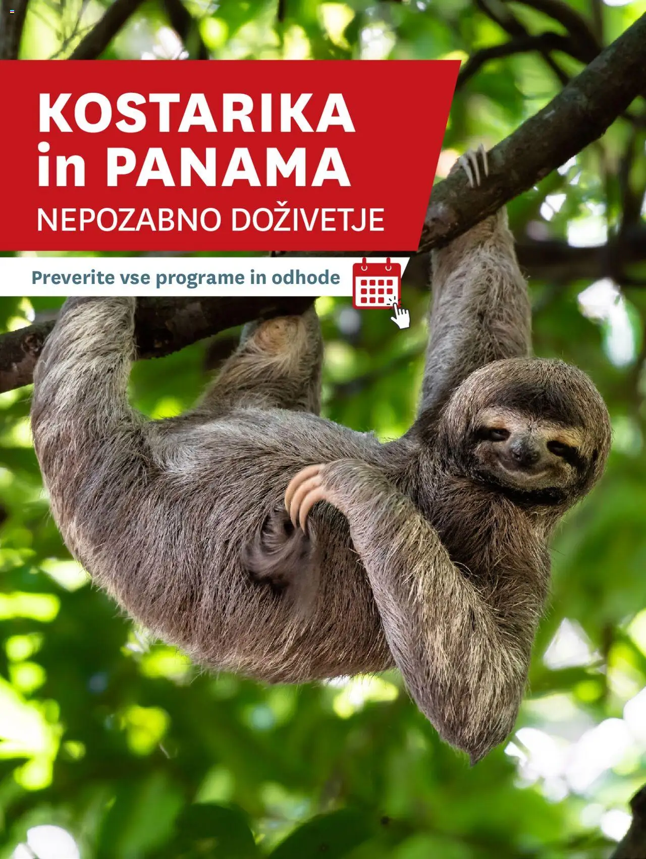 Novi Palma katalog ponudbe – veljaven od 01.01.2025 | Stran: 18