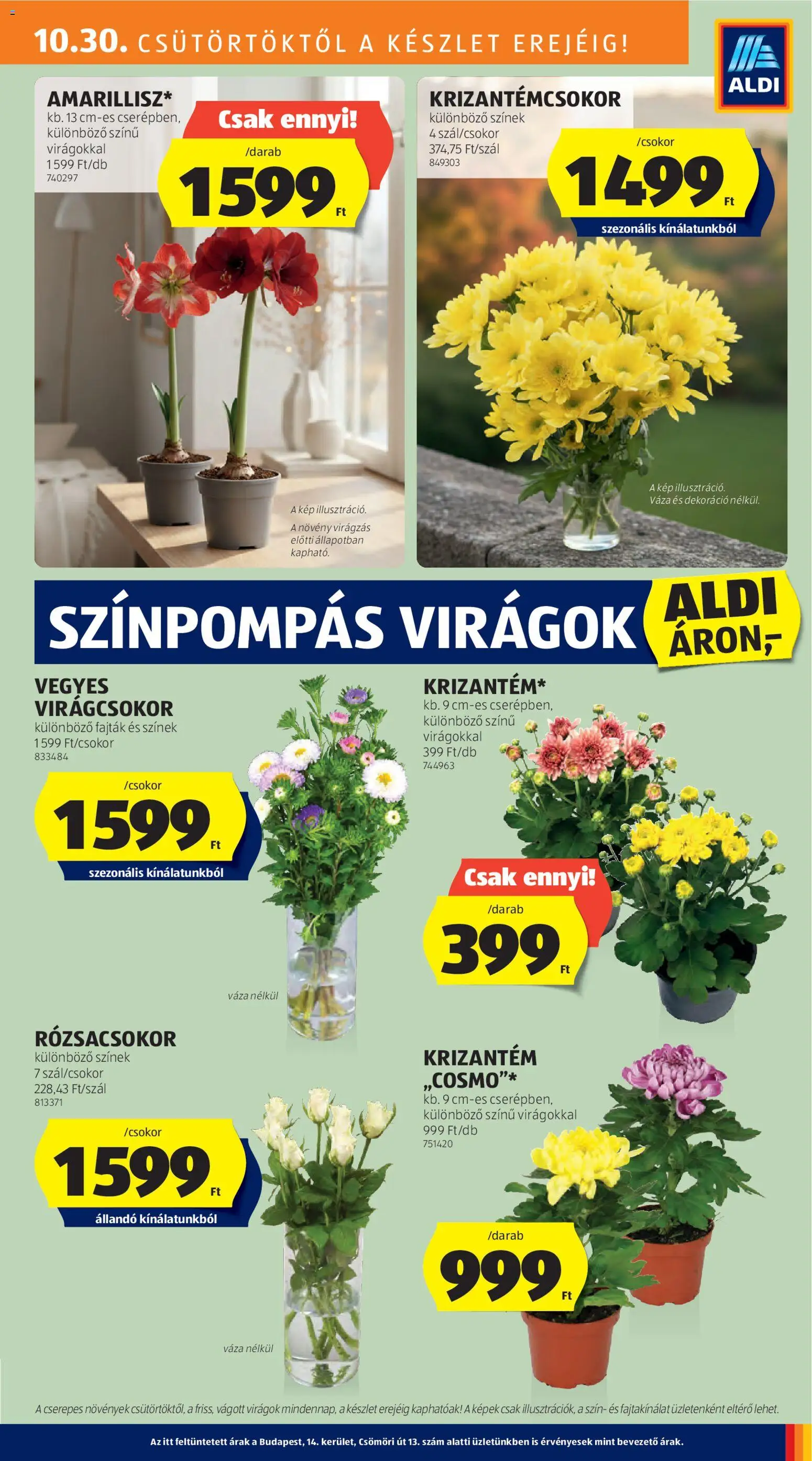 Aldi akciós ujság - amely érvényes a következő dátumtól: 30.10.2025 | Oldal: 31 | Termékek: Virágok, Váza, Dekoráció
