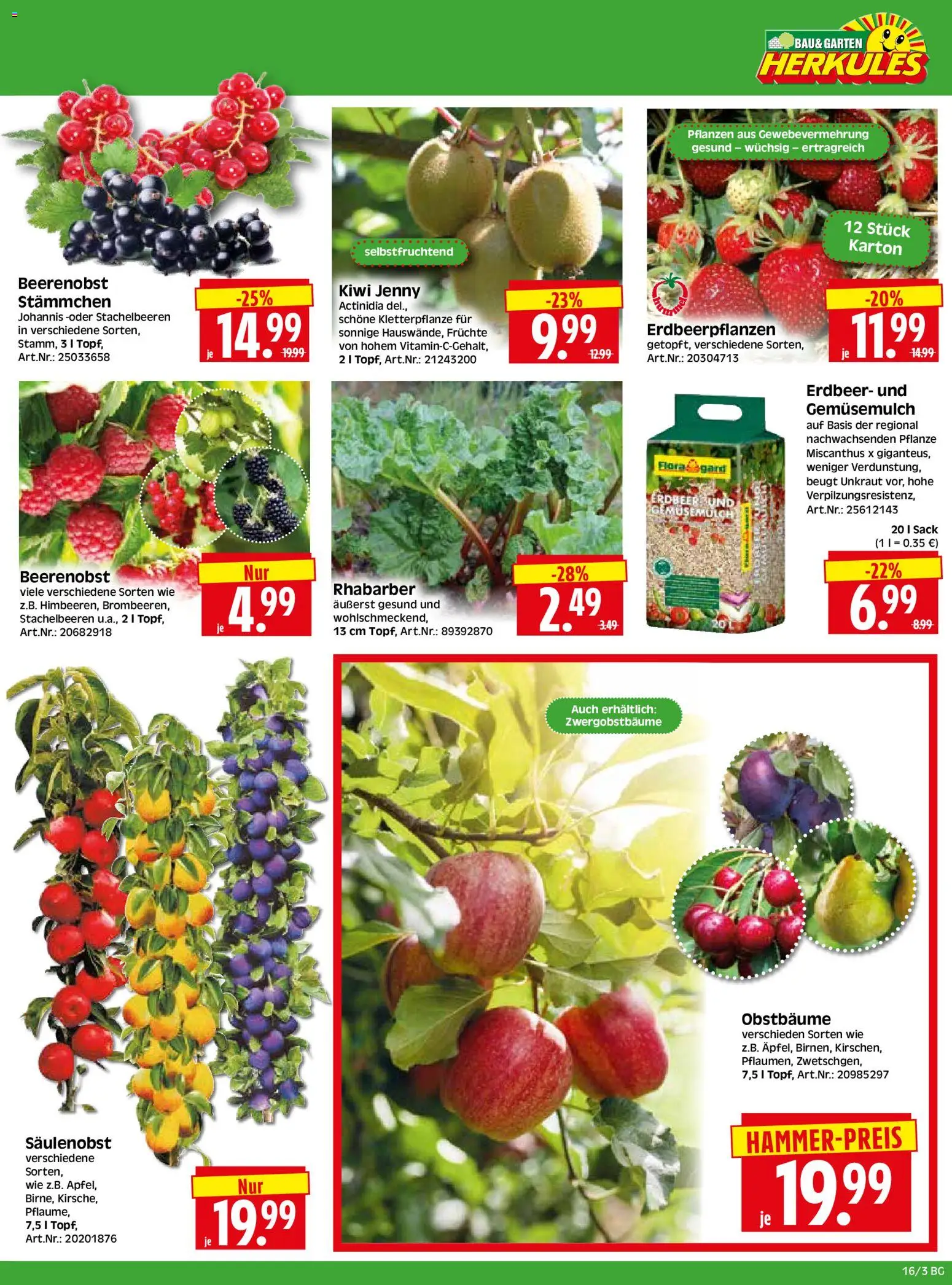 HERKULES Bau & Garten – gültig ab 13.04.2026 | Seite: 3 | Produkte: Rhabarber, Kiwi