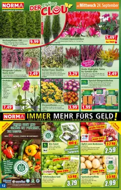 Norma Flugblatt gültig ab 22.09.2025 | Seite: 12 | Produkte: Gemüse, Obst, Äpfel