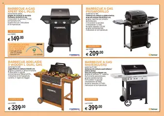 Anteprima del volantino Catalogo Barbecue Brico OK	 valido a partire dal 03.03.2025 | Pagina: 3