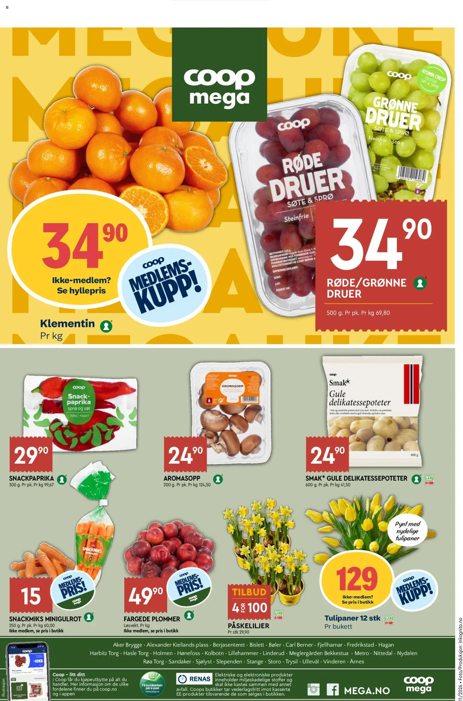 {H1} | Side: 8 | Produkter: Plommer, Druer, Paprika, Fyldt pasta