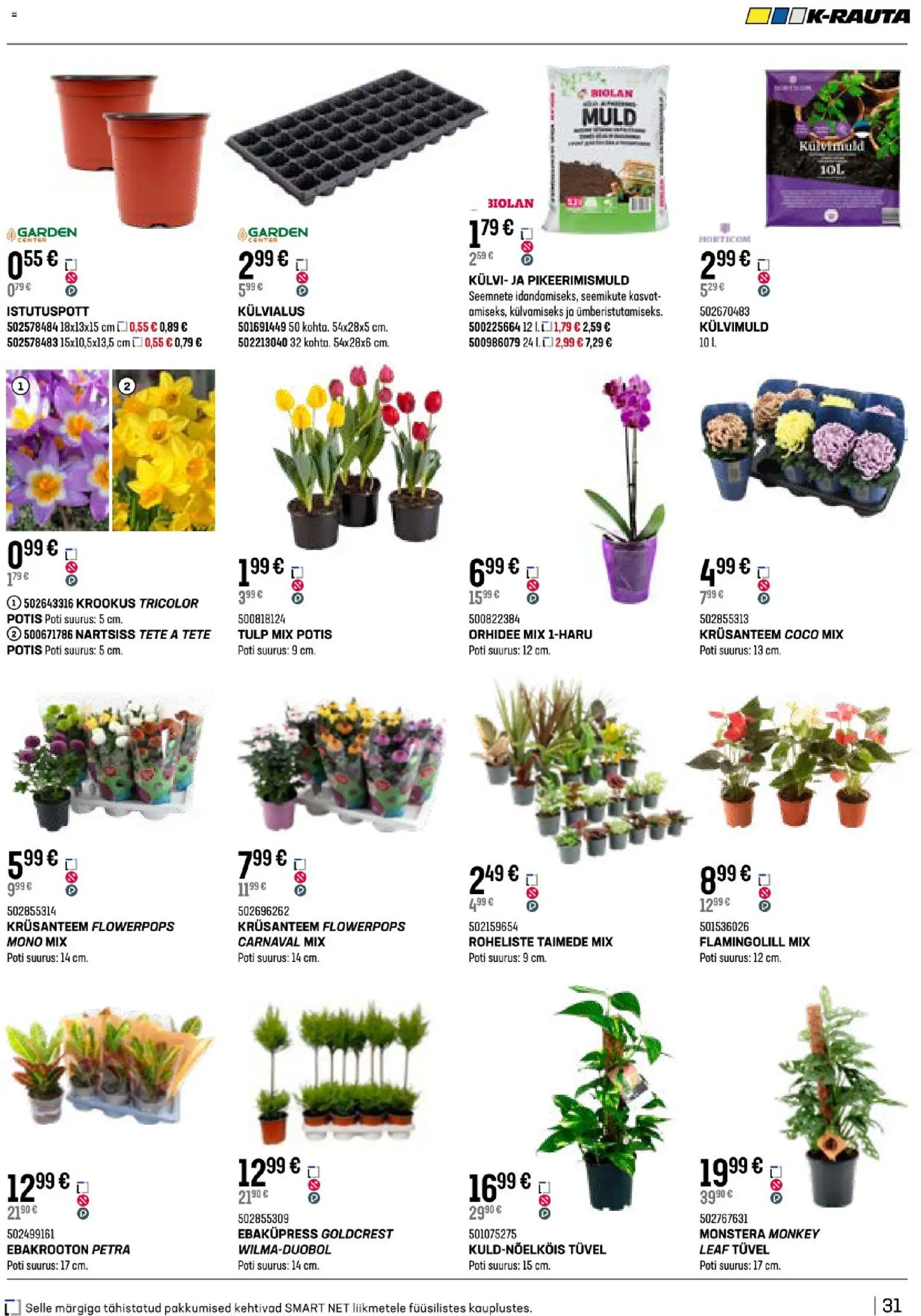 {H1} | Lehekülg: 31