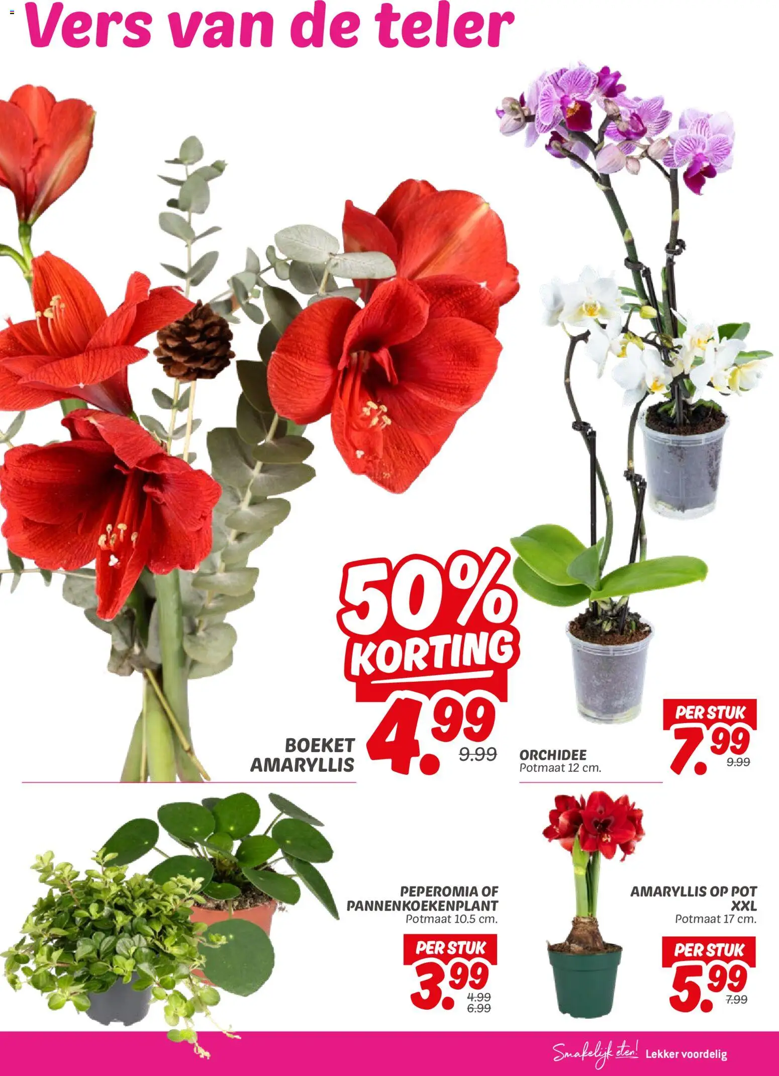 {H1} | Pagina: 19 | Producten: Pot