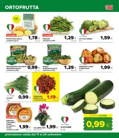 Volantino Oasi del 11.09.2025 | Pagina: 15 | Prodotti: Crema, Insalata, Patate, Zucca