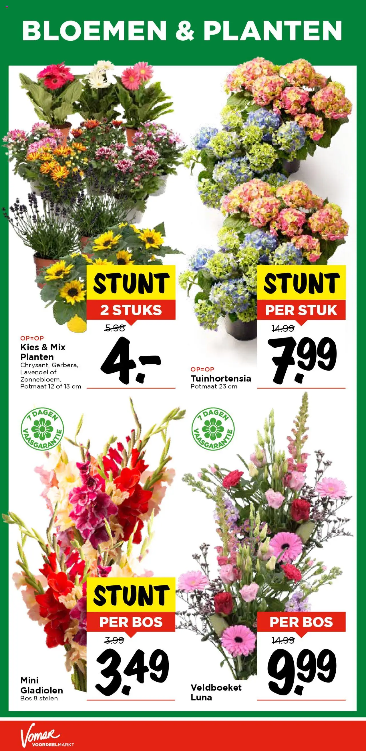  | Pagina: 28 | Producten: Bloemen
