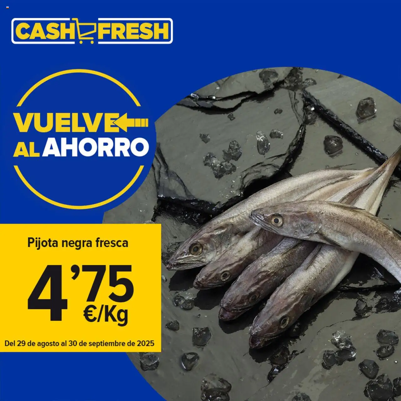 Cash Fresh folleto │ válido desde el 29.08.2025 | Página: 4