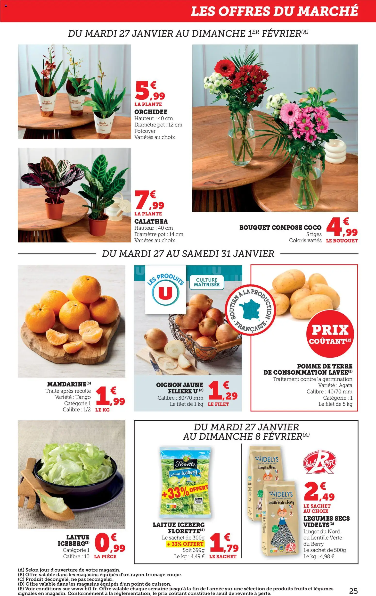 {H1} | Page: 25 | Produits: Pomme de terre, Pomme de terre de consommation, Orchidée, Fromage