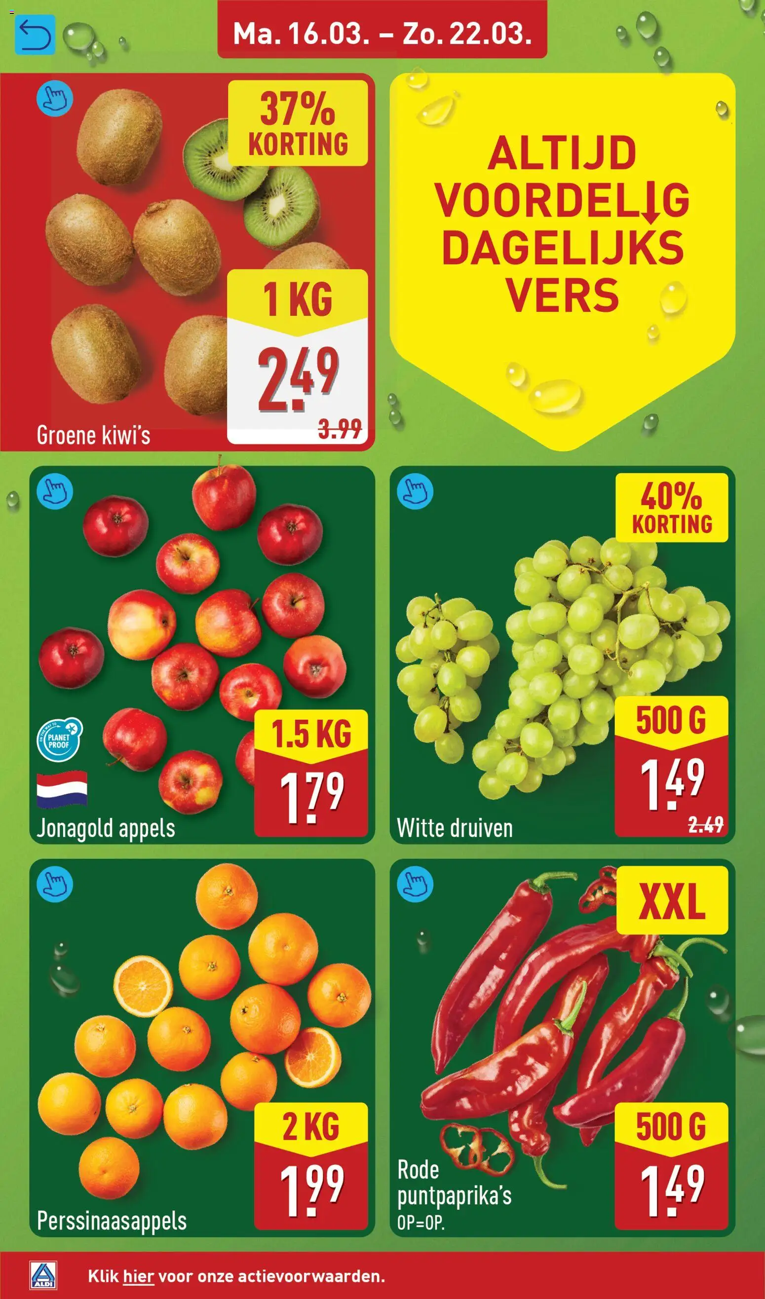 {H1} | Pagina: 4 | Producten: Appels, Druiven, Kiwi's