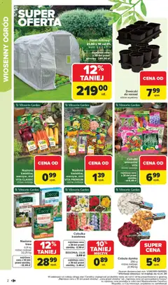 Pogląd oferty "Carrefour Gazetka - Łap okazje" - ważna od 16.02.2026 | Strona: 2 | Produkty: Burak, Tunel foliowy, Nasiona, Doniczki