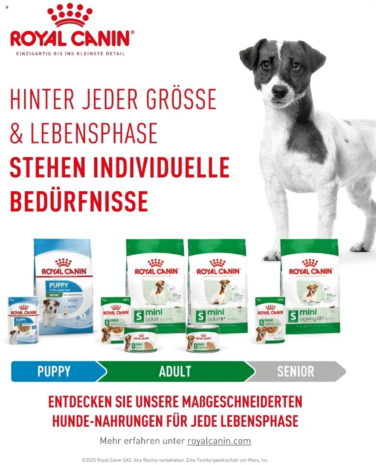 Fressnapf Friends 04/25 gültig ab 01.07.2025 | Seite: 15
