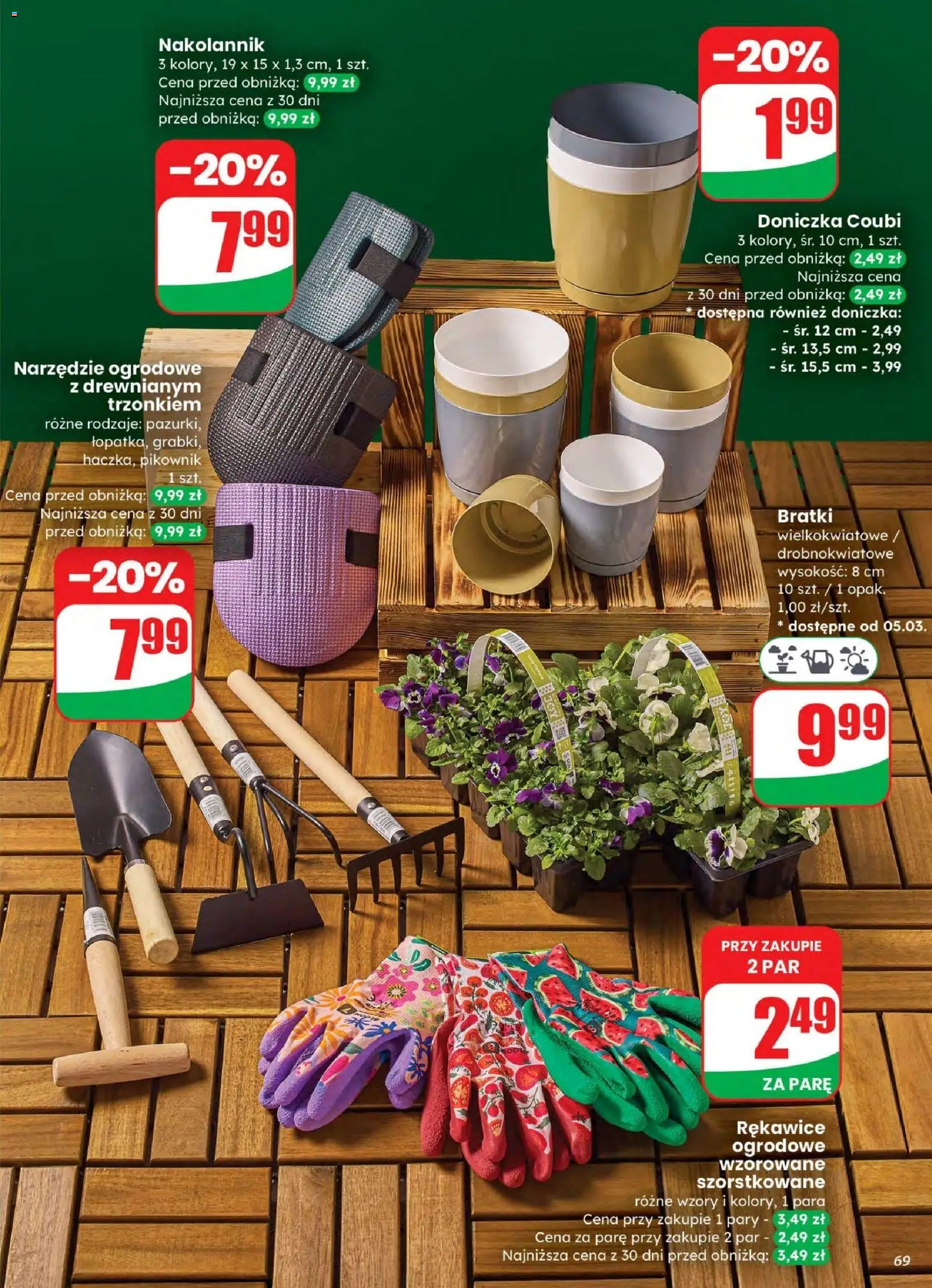 Dino gazetka od 04.03.2026 | Strona: 69 | Produkty: Bratki, Doniczka