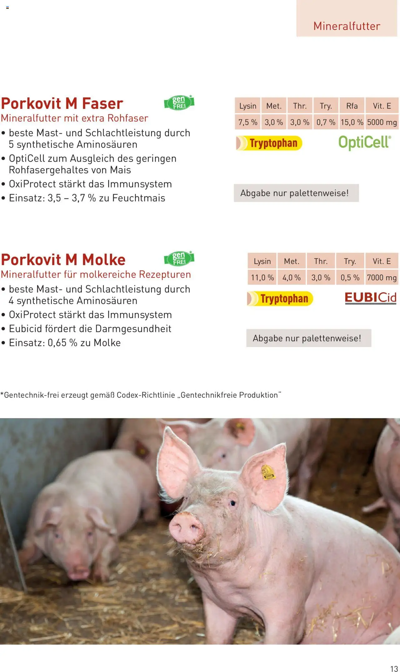 Lagerhaus  Schweinemast gültig ab 01.10.2025 | Seite: 13