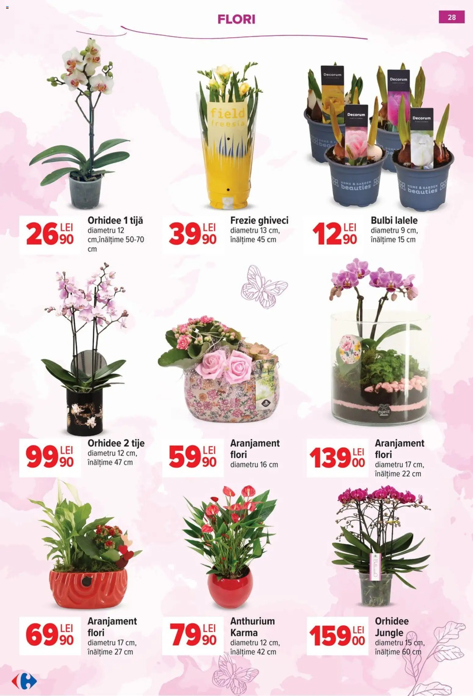 Noul catalog Carrefour – valabil de la 18.02.2026 | Pagină: 28 | Produse: Orhidee, Ghiveci