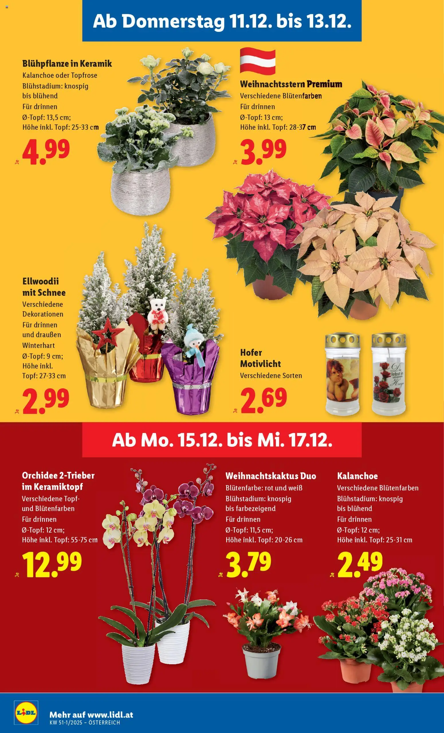 Lidl Flugblatt - Oberpullendorf, Güssing, Oberwart gültig ab 11.12.2025 | Seite: 30
