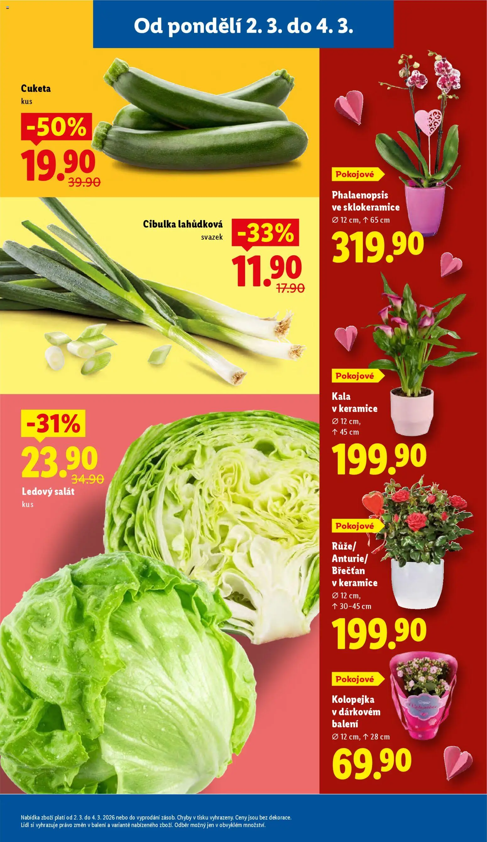 Lidl leták od 02.03.2026 | Strana: 13 | Produkty: Kalanchoe, Salát, Cuketa, Ledový salát