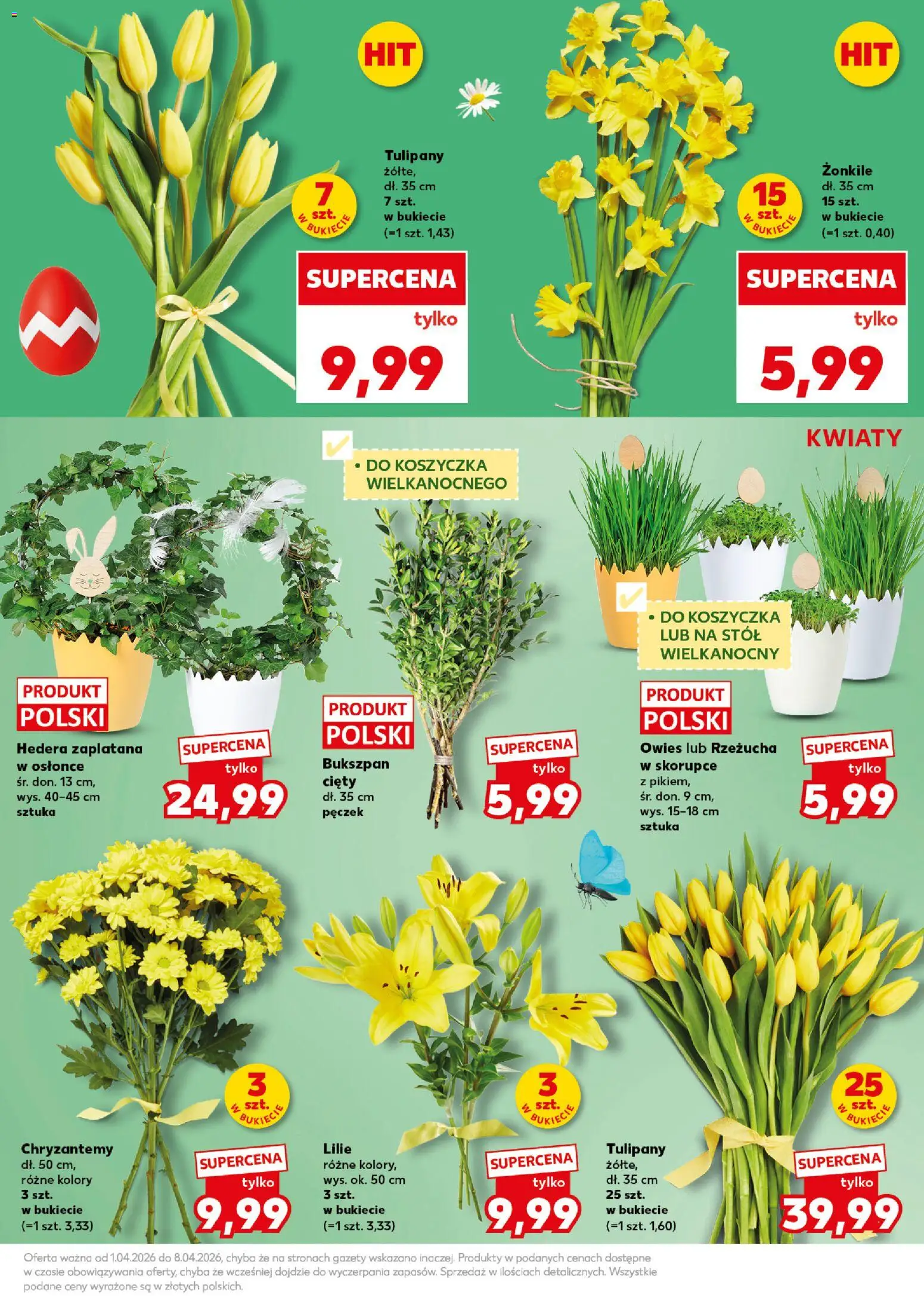 Kaufland Polsko leták - Mocny start od 07.04.2026 | Strana: 15 | Produkty: Tulipány