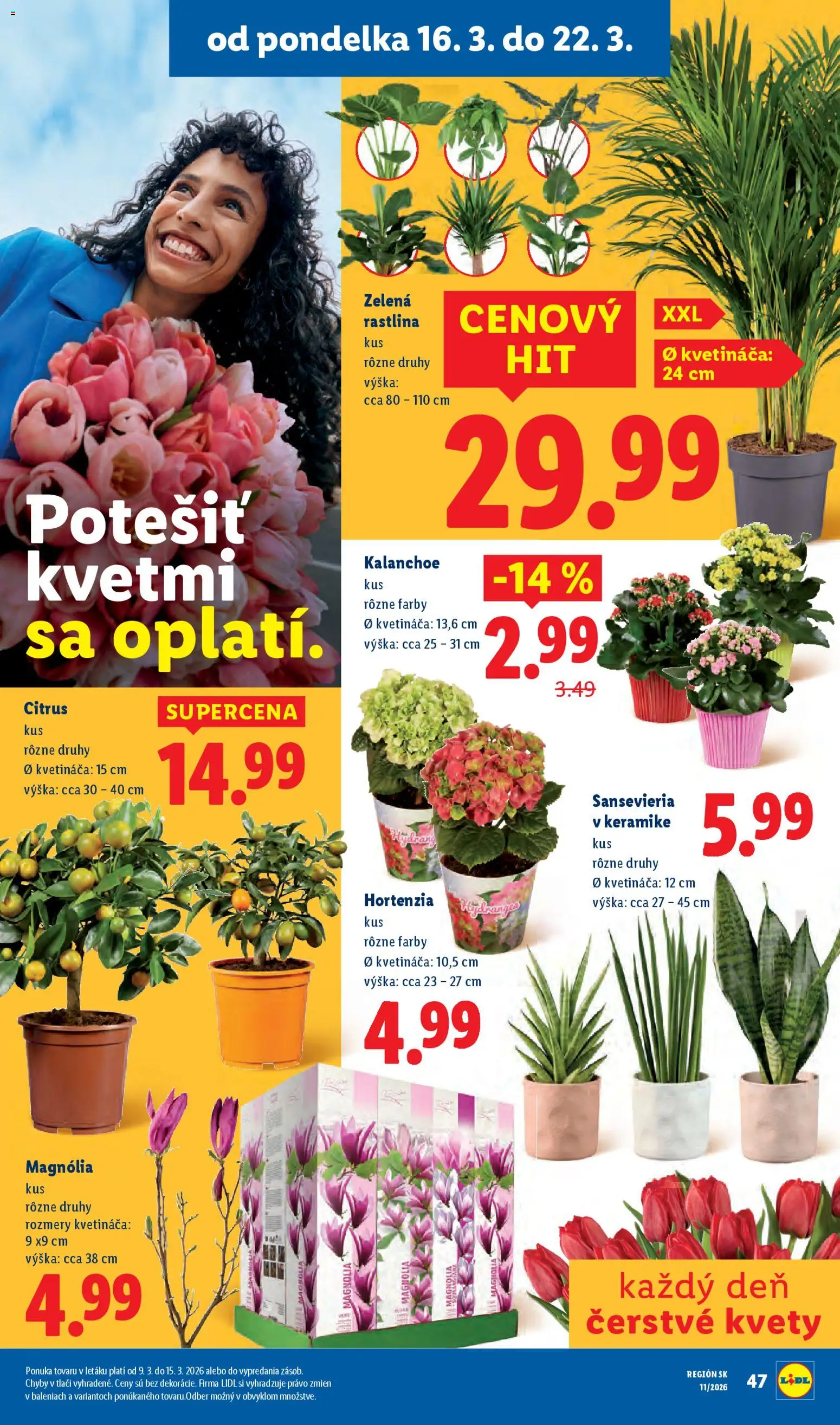 Nové Lidl akcie – leták je platný od 19.03.2026 | Strana: 90 | Produkty: Kvety
