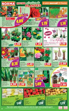 Norma - Prévisualisation de Norma catalogue valide à partir de 25.02.2026 | Page: 4 | Produits: Terreau, Orchidée, Oignons, Pommes de terre