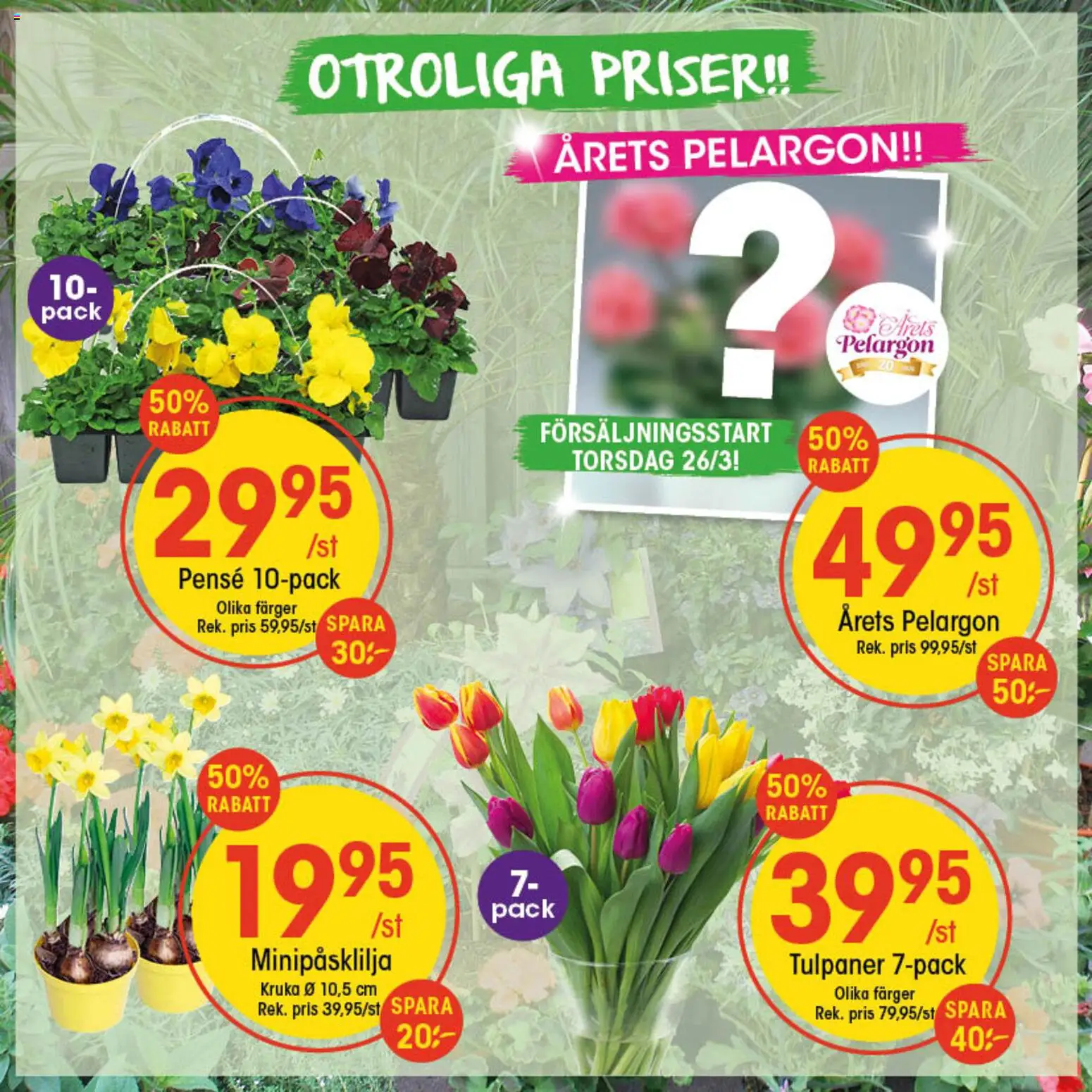 EKO reklamblad aktuell från 23.03.2026 | Sida: 2 | Produkter: Pelargon, Kruka