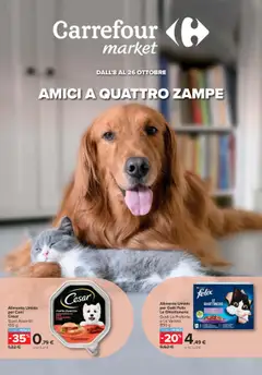Anteprima del volantino Carrefour Market - Pet food Roma catalogo valido a partire dal 08.10.2025