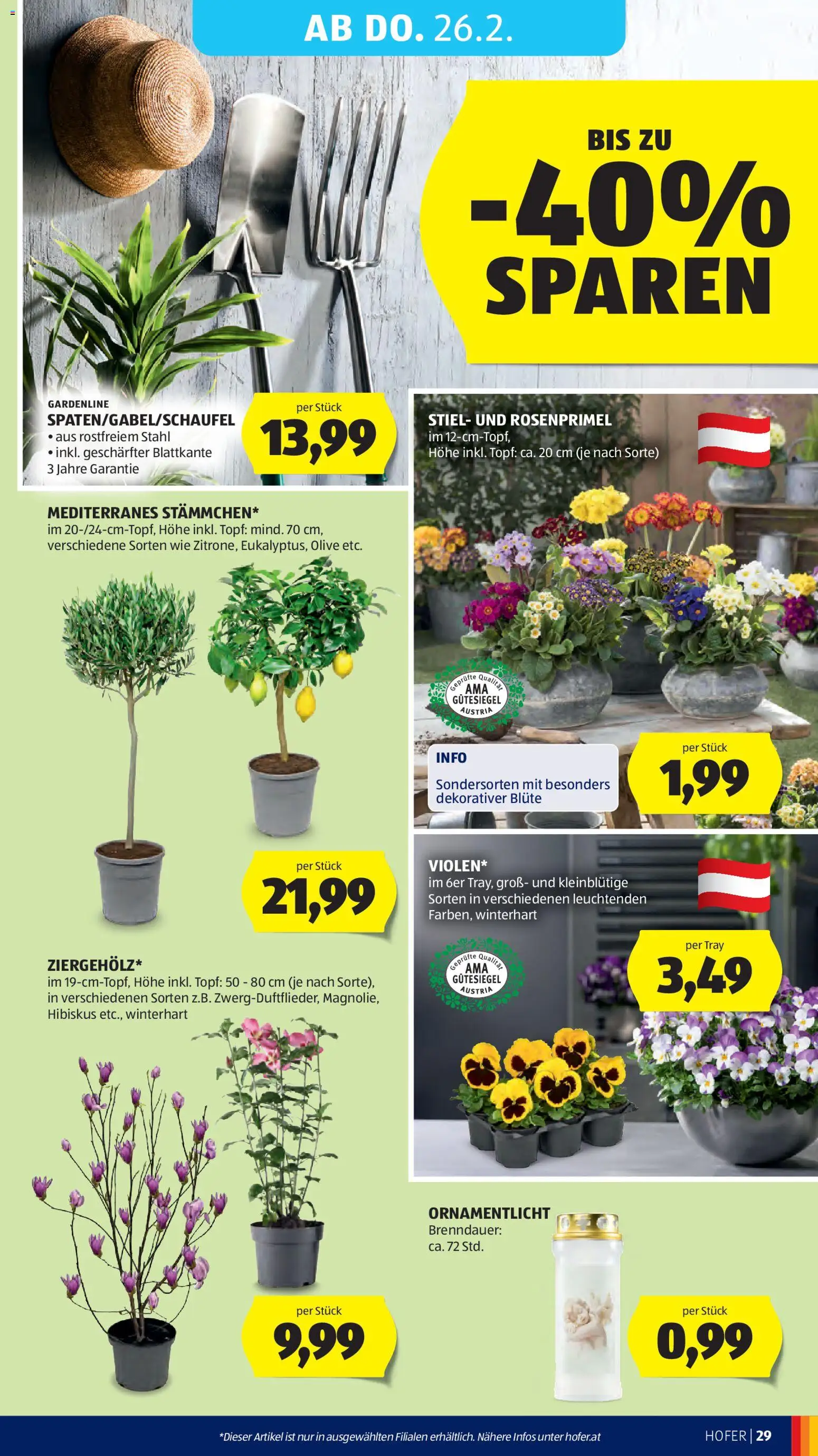 Hofer Flugblatt gültig ab 20.02.2026 | Seite: 33