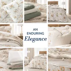 Volpes specials catalogue – valid from 16.03.2026