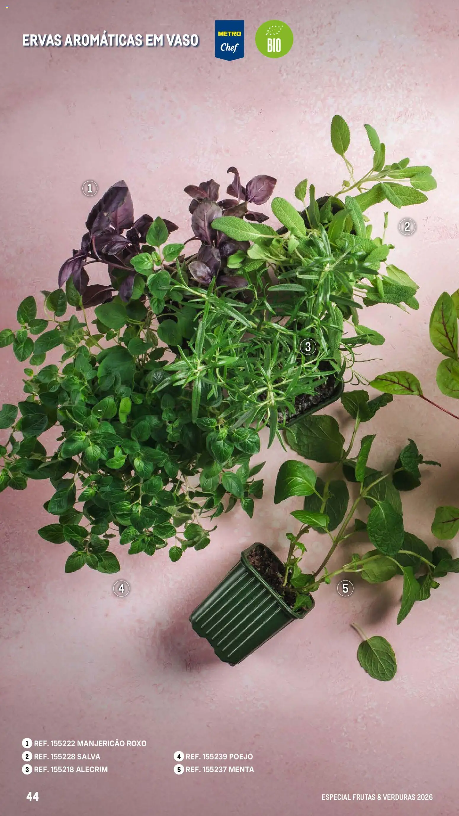 Makro Especial Frutas e Verduras 2026 │ válido de 06.03.2026 | Página: 44 | Produtos: Vaso