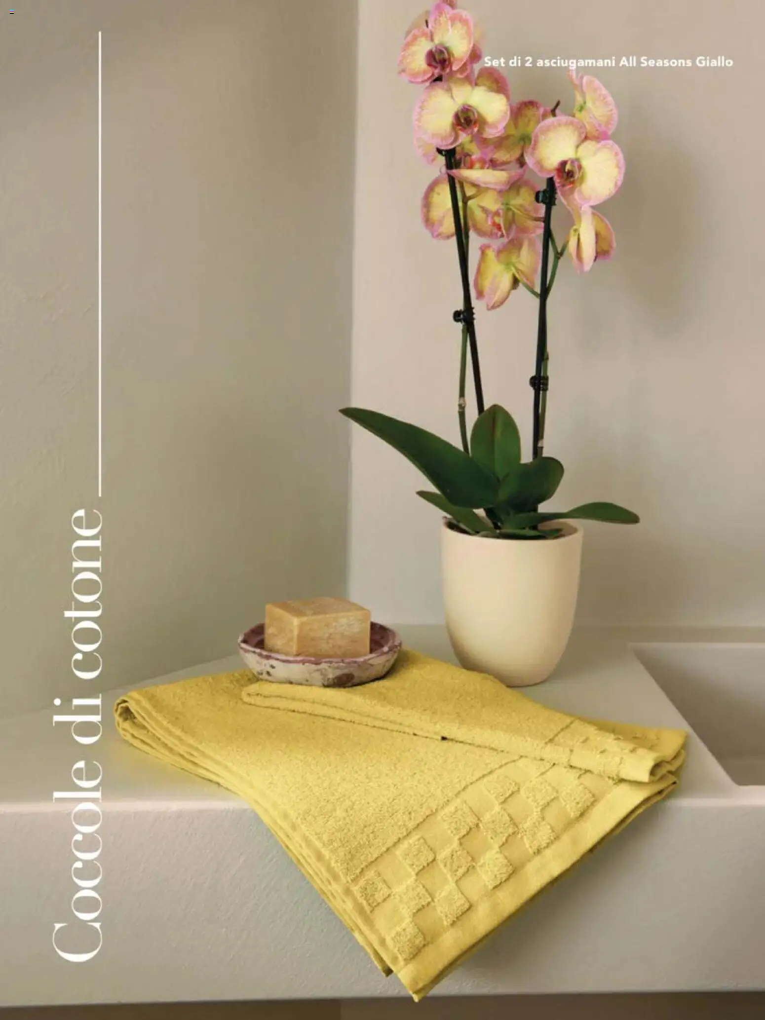 Volantino Avon del 31.12.2025 | Pagina: 8