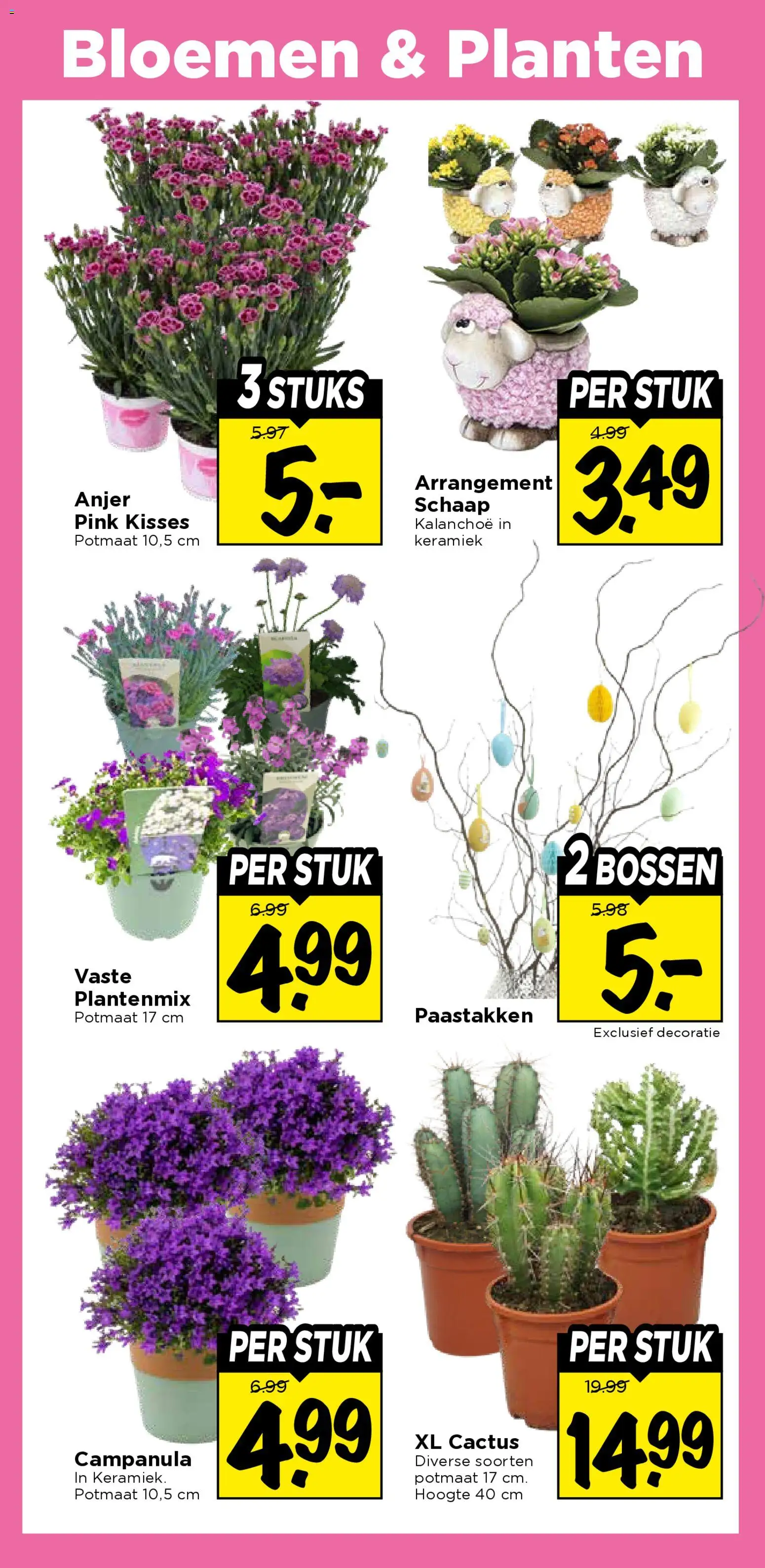 {H1} | Pagina: 37 | Producten: Bloemen, Keramiek