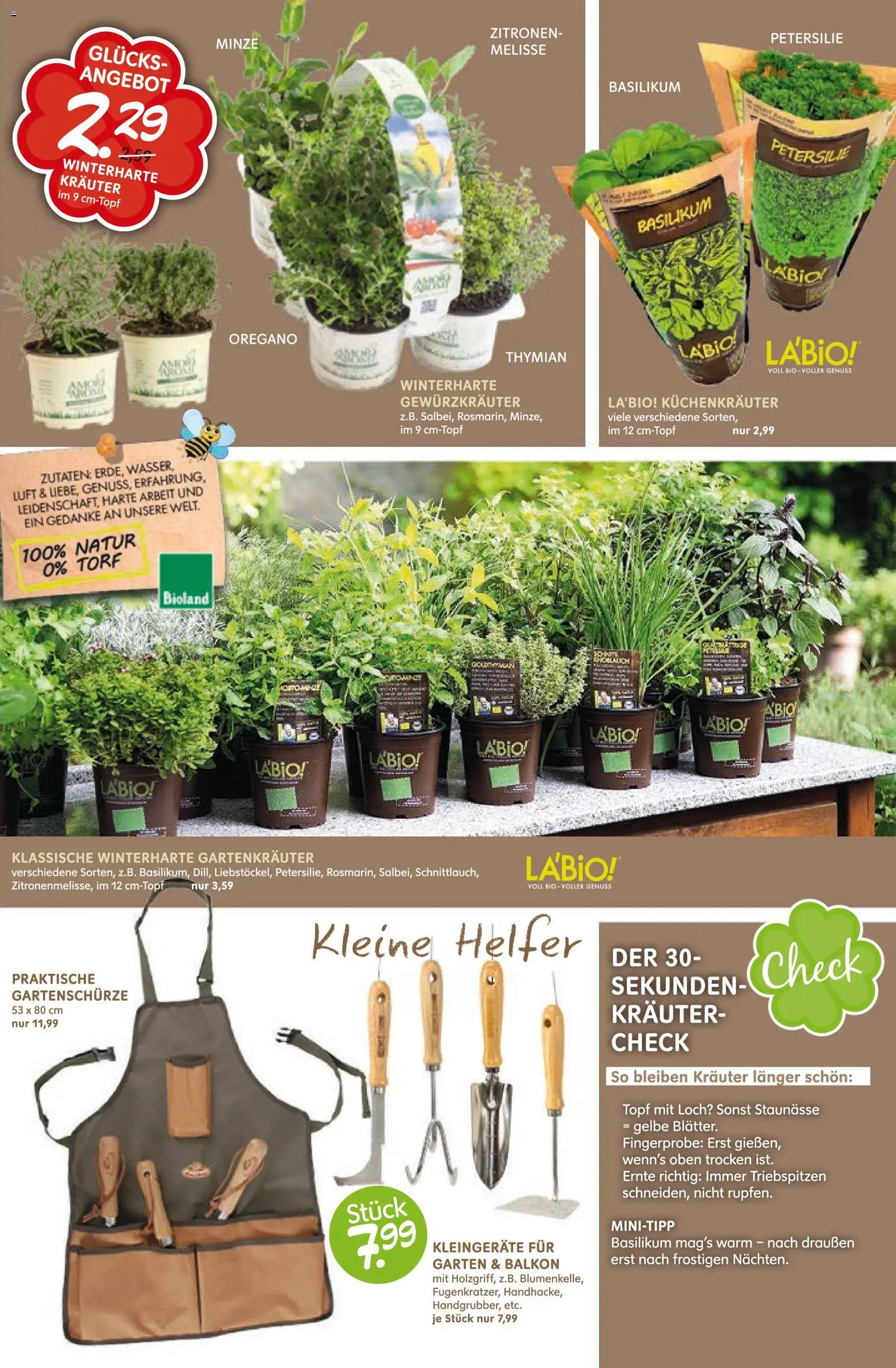 Blumen Risse Prospekt gartencenter – gültig ab 12.03.2026 | Seite: 3 | Produkte: Petersilie, Zitronen