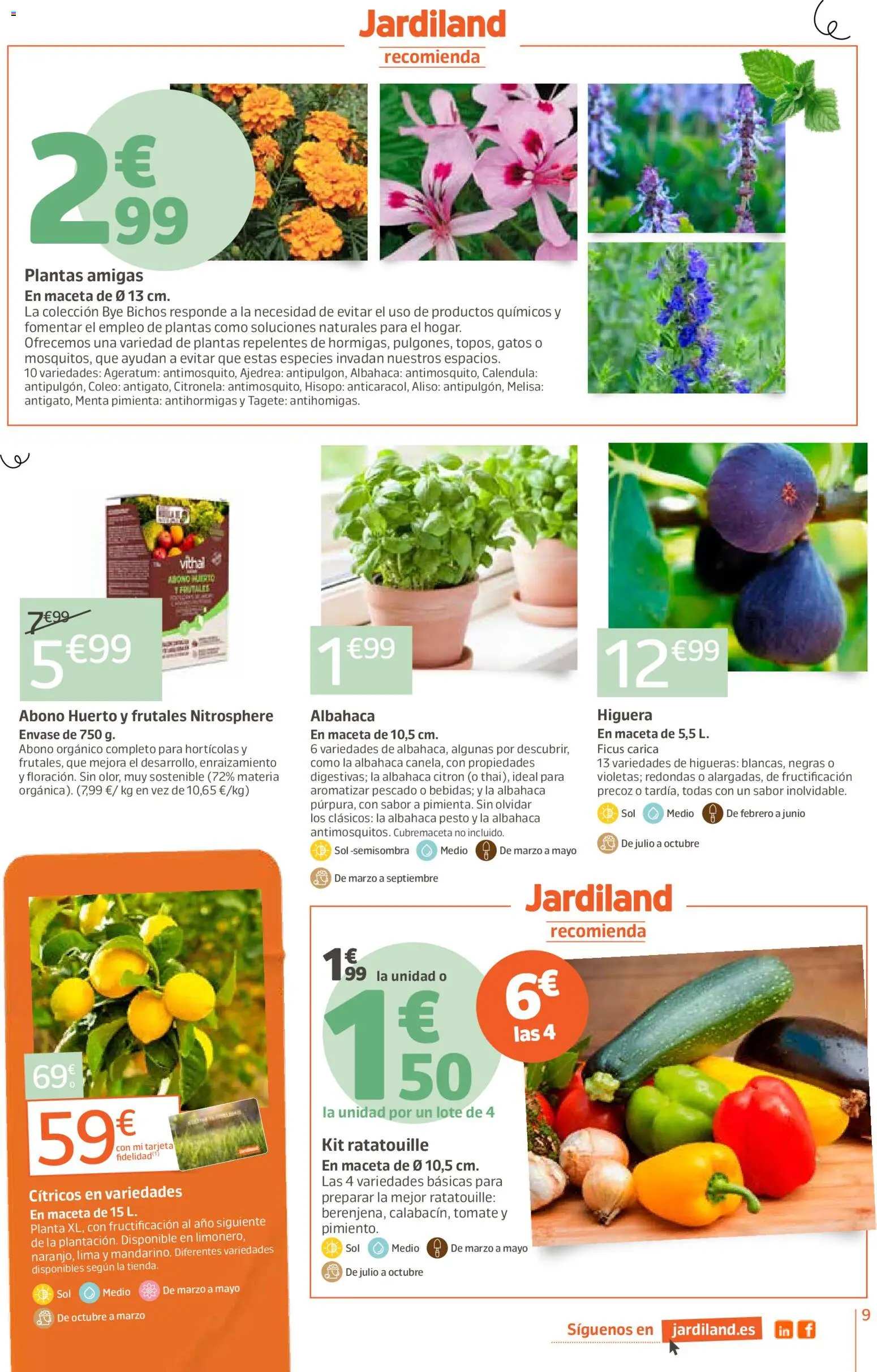 Jardiland folleto │ válido desde el 23.04.2026 | Página: 9 | Productos: Lima, Pescado, Maceta