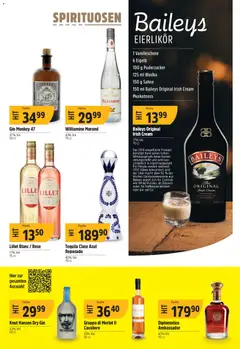 TopCC aktionen ab 23.03.2026 gültig | Seite: 19 | Produkte: Likör, Merlot, Gin, Wodka