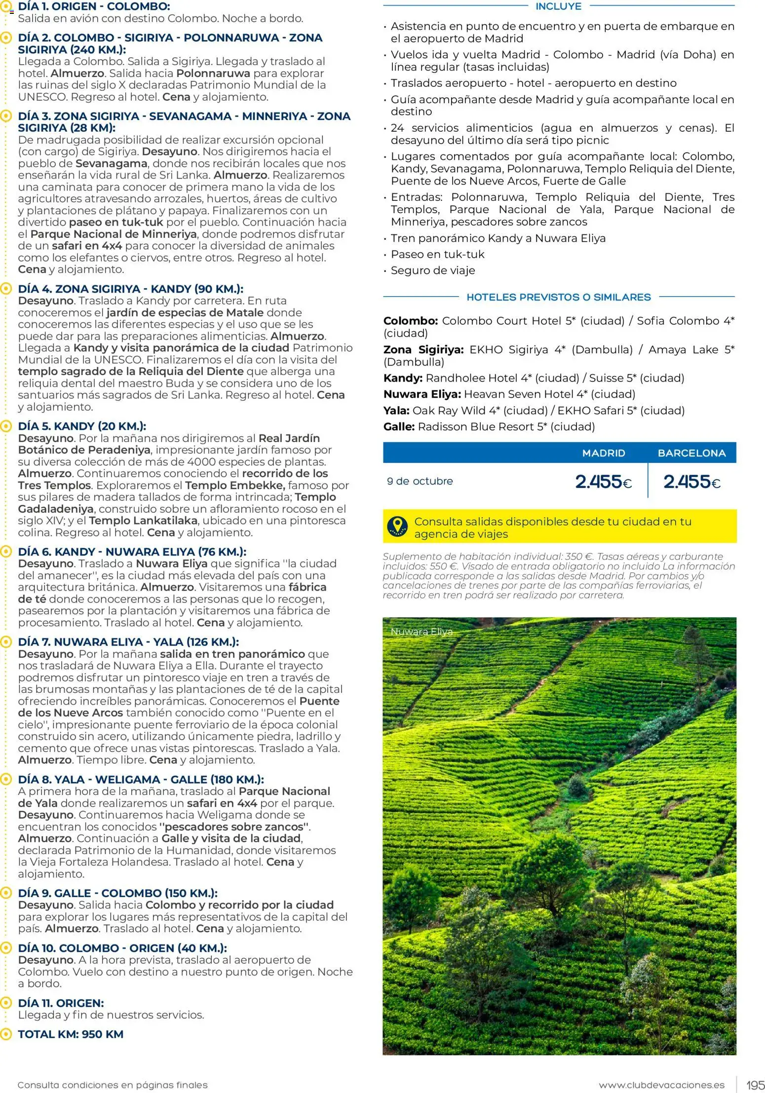 Viajes El Corte Inglés Club de Vacaciones │ válido desde el 01.02.2026 | Página: 195 | Productos: Té