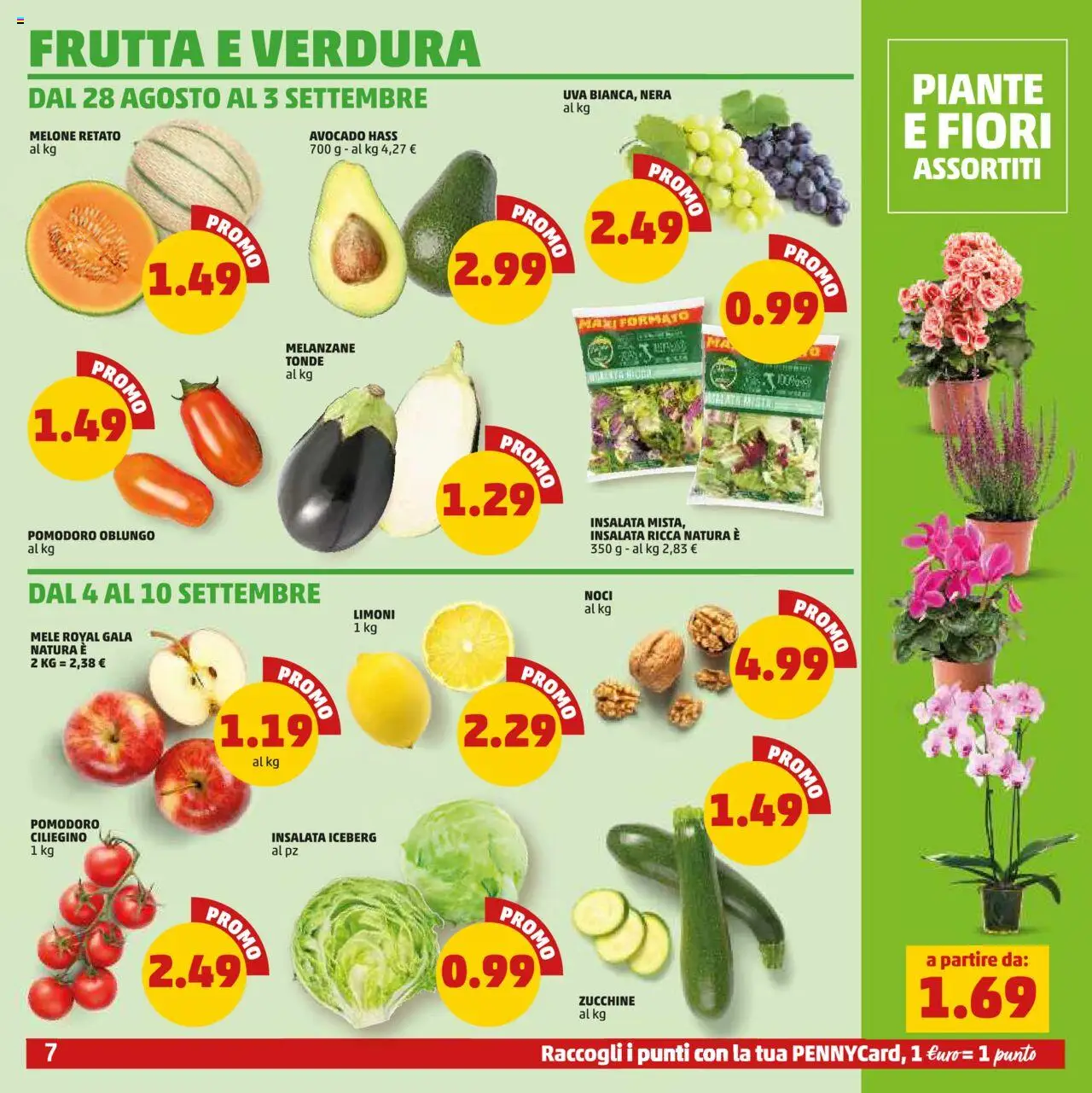 Volantino PENNY del 28.08.2025 | Pagina: 7 | Prodotti: Insalata, Uva, Melone, Melanzane