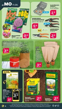 Netto Prospekt 	 - gültig ab dem 11.08.2025 | Seite: 18 | Produkte: Blumenerde
