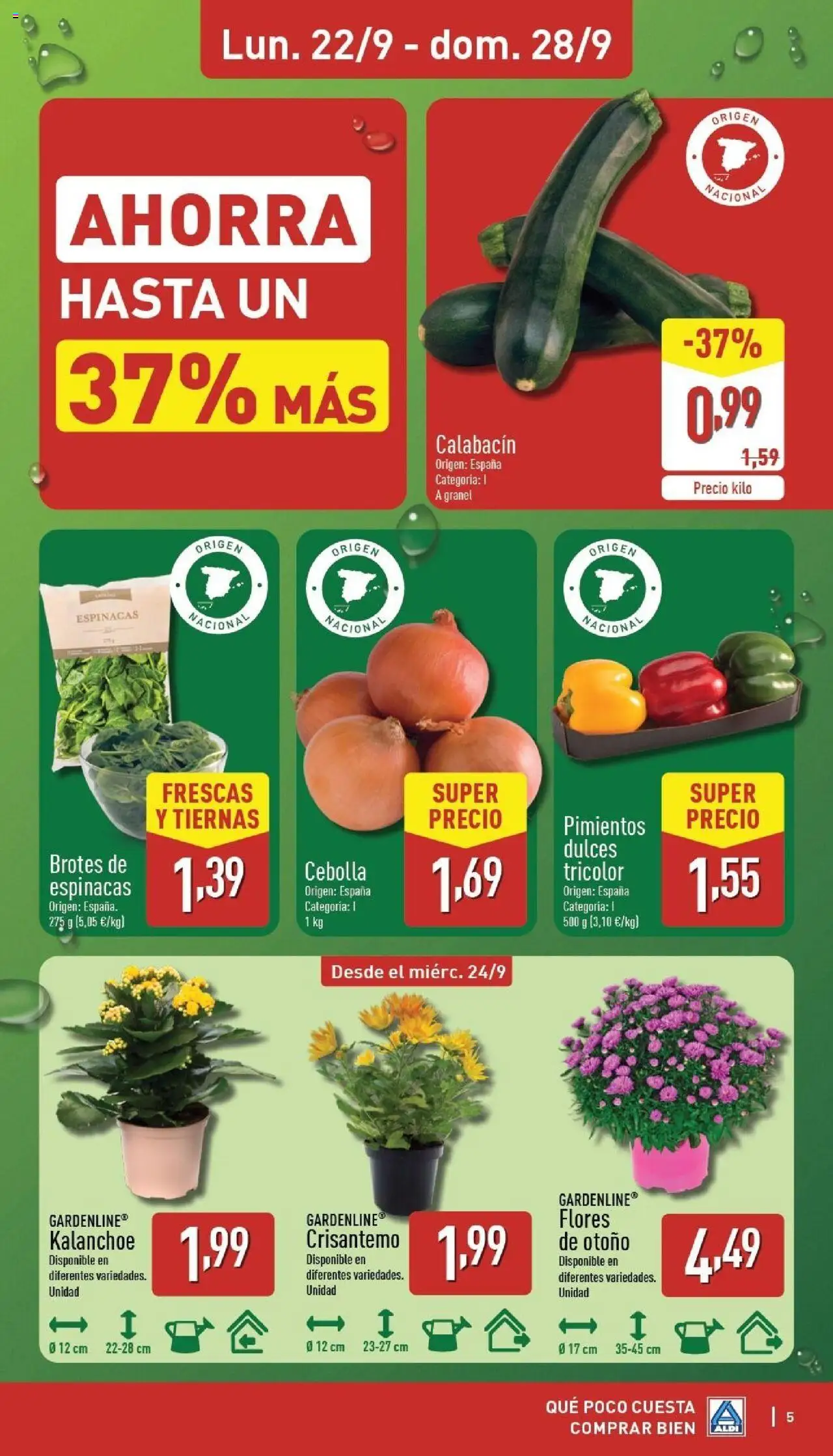 Aldi folleto Península │ válido desde el 22.09.2025 | Página: 5