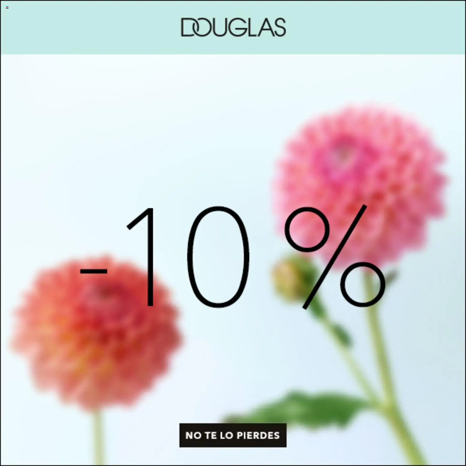 Douglas │ válido desde el 06.04.2026 | Página: 1 | Productos: Té