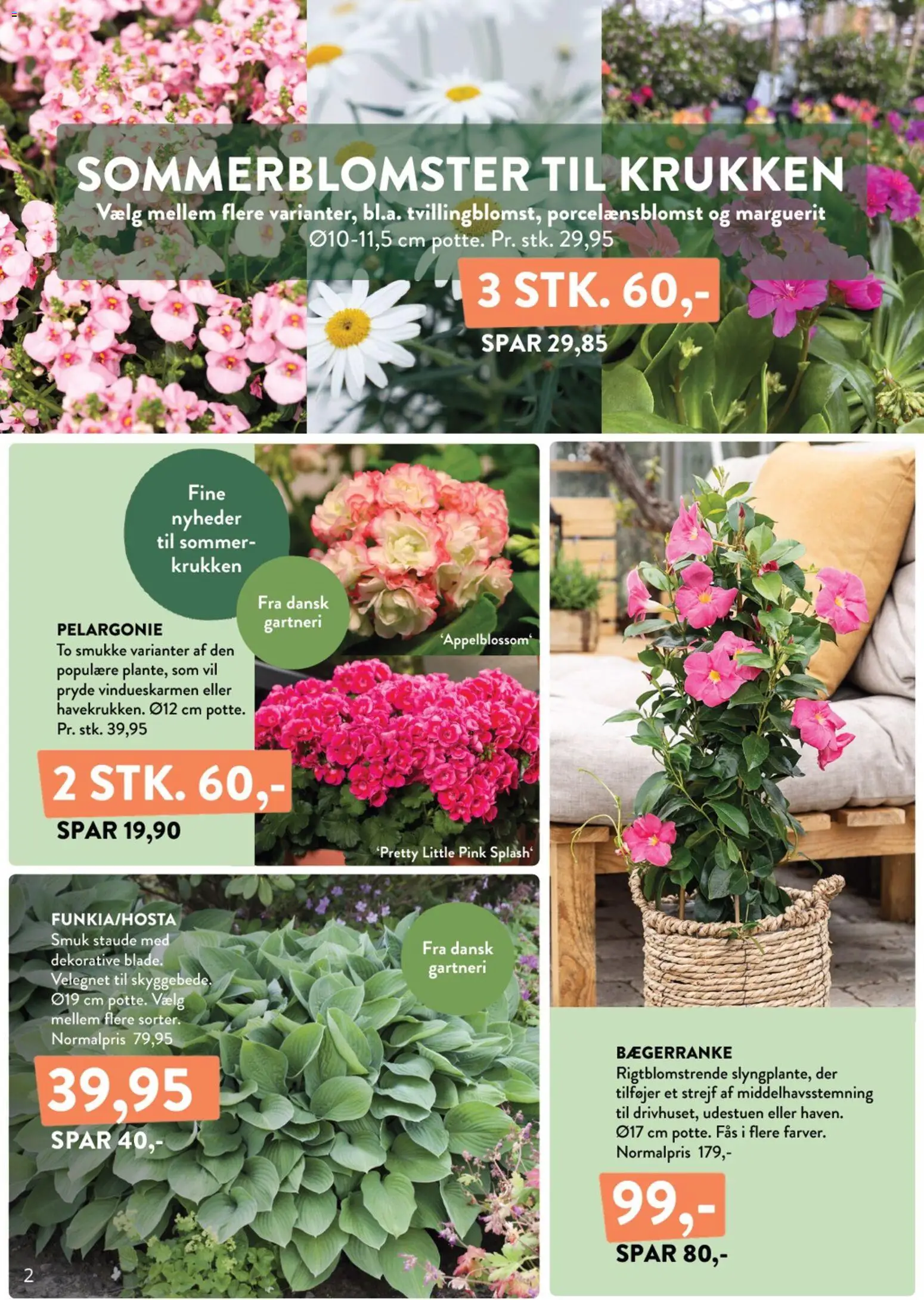 Plantorama tilbudsavis – gyldig fra 10.04.2026 | Side: 2 | Produkter: Søm