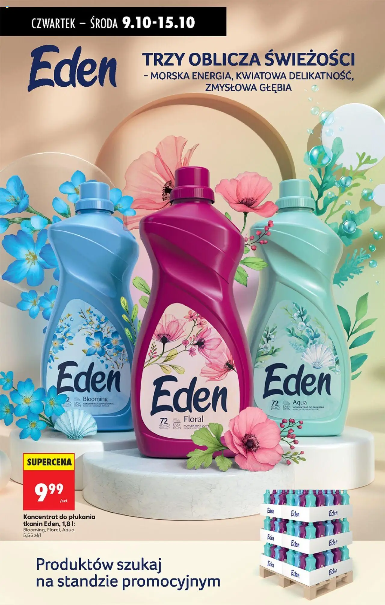 Biedronka gazetka - Oferta w tym tygodniu od 09.10.2025 | Strona: 81